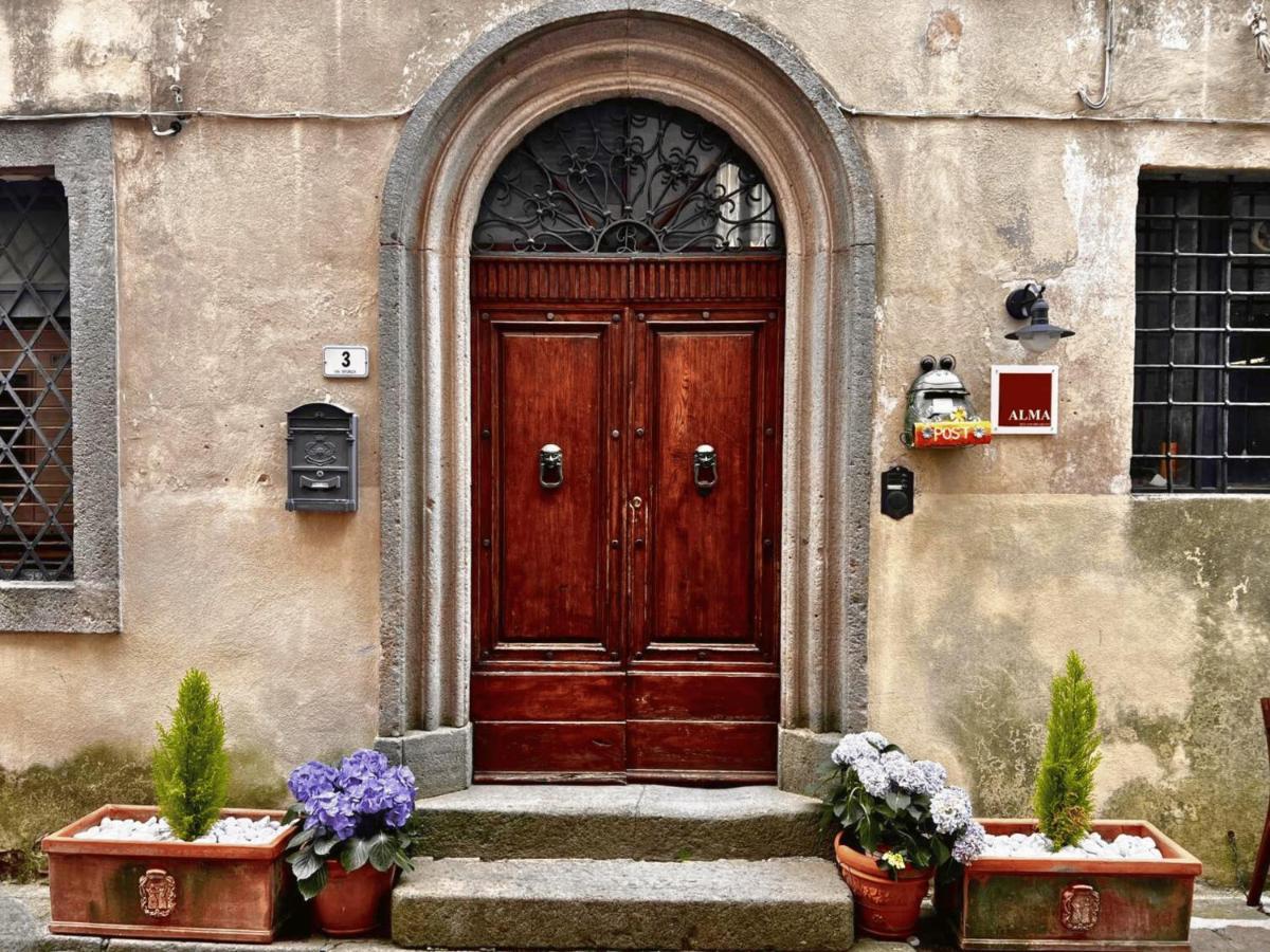 Alma Bnb Santa Fiora Esterno foto